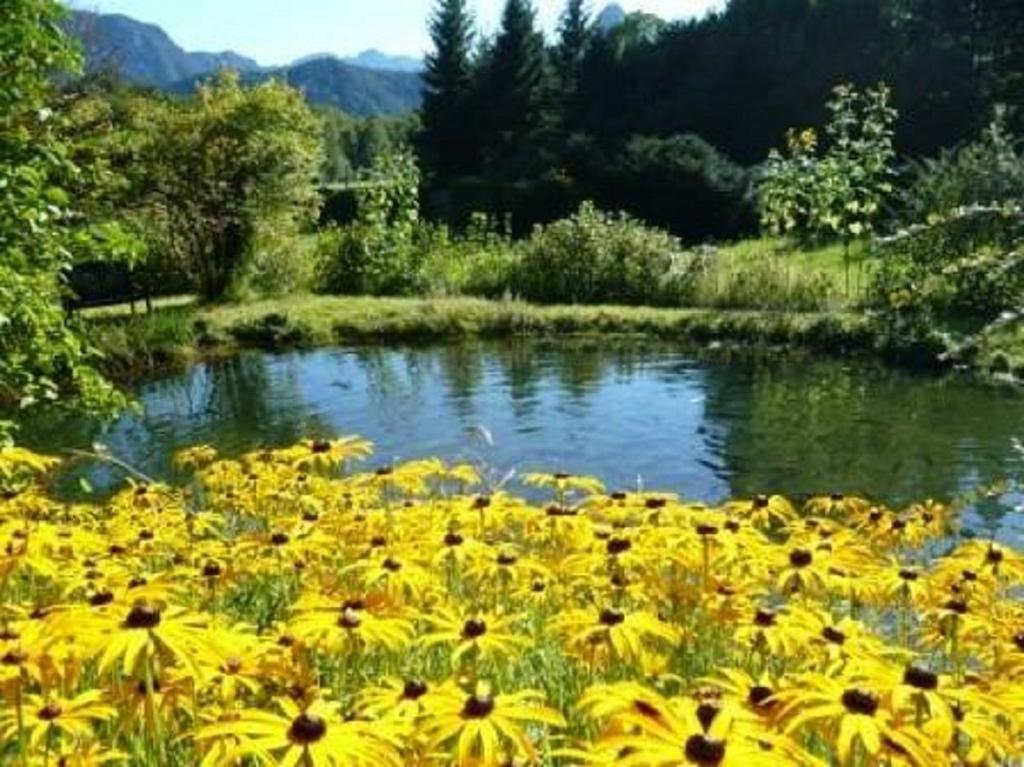 Ferienwohnungen Quellenhof Bad Reichenhall Esterno foto